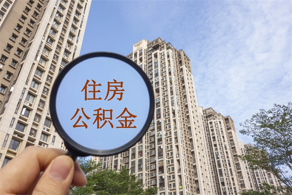 公积金还看征信吗吗_上杭公积金代办在职离职封存服务